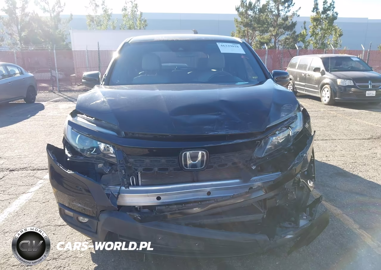 2019 Honda Passport Ex-L VIN:5FNYF7H51KB010891 - 12