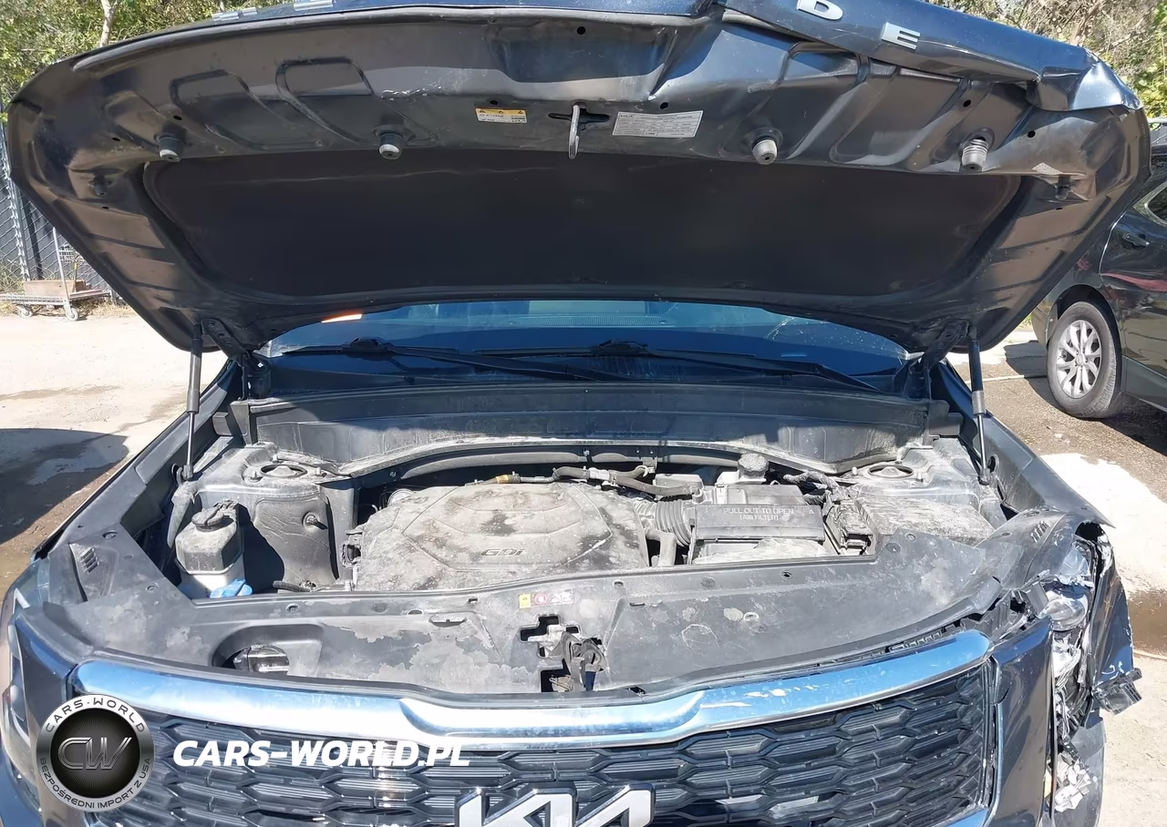 2022 Kia Telluride Ex VIN:5XYP34HC2NG271123 - 10