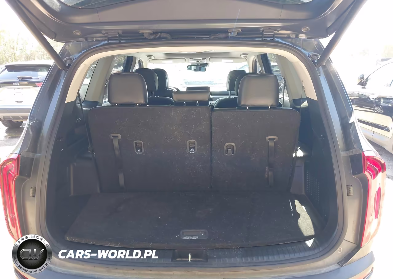 2022 Kia Telluride Ex VIN:5XYP34HC2NG271123 - 17
