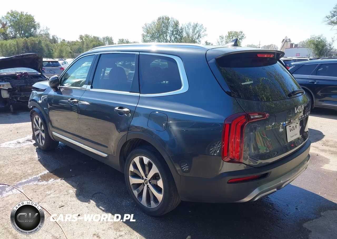 2022 Kia Telluride Ex VIN:5XYP34HC2NG271123 - 3