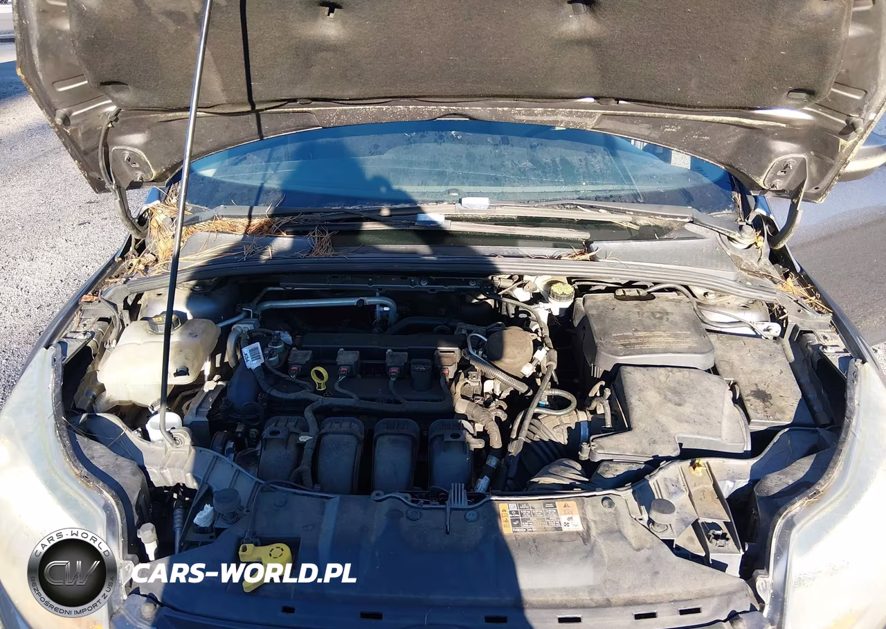 2014 Ford Focus Se VIN:1FADP3F24EL387025 - 10