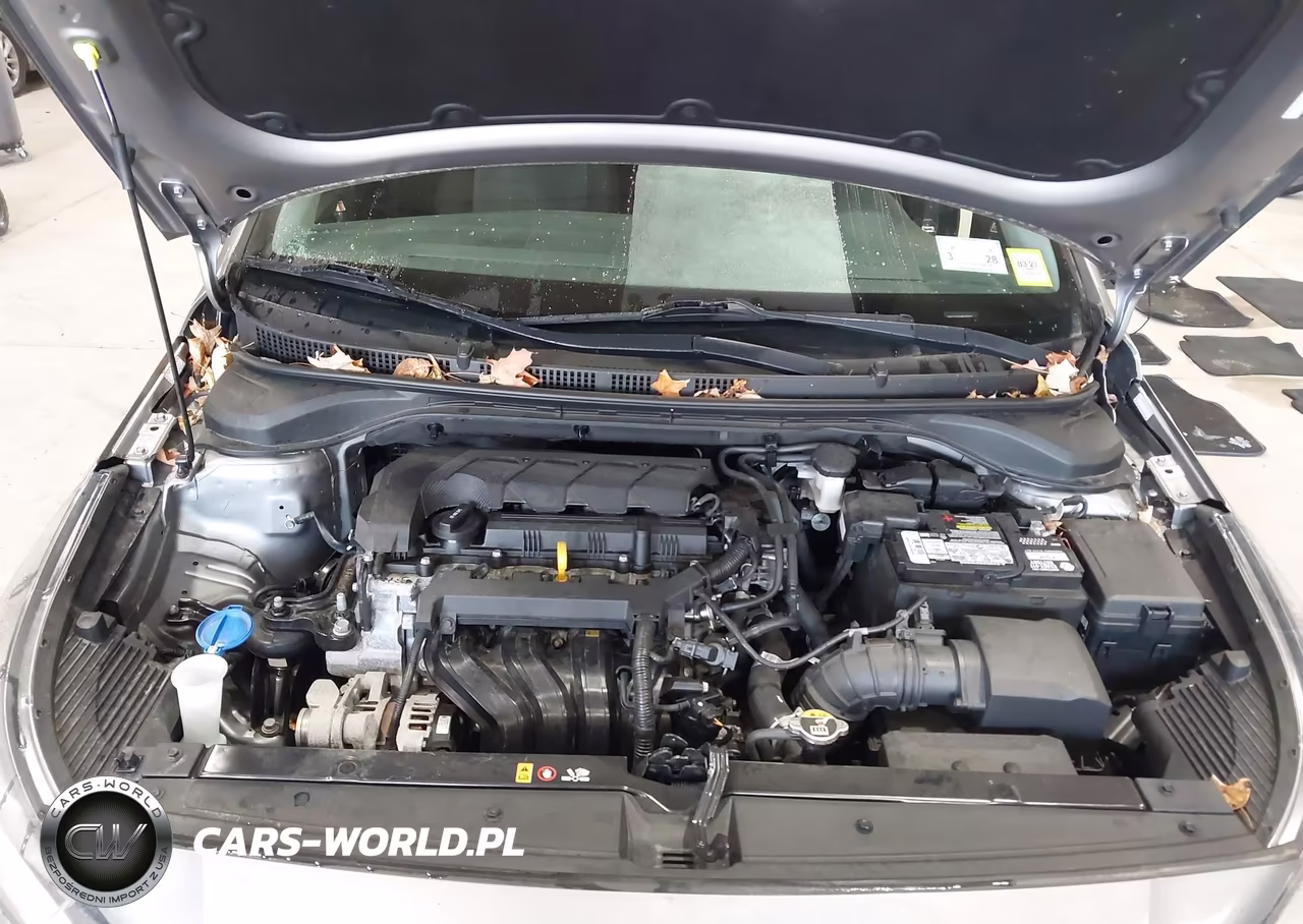 2021 Hyundai Accent Se VIN:3KPC24A64ME132872 - 10