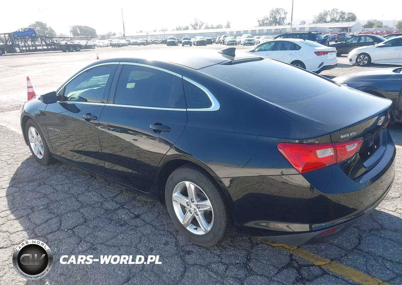 2021 Chevrolet Malibu Fwd 1Fl VIN:1G1ZC5ST3MF001626 - 3