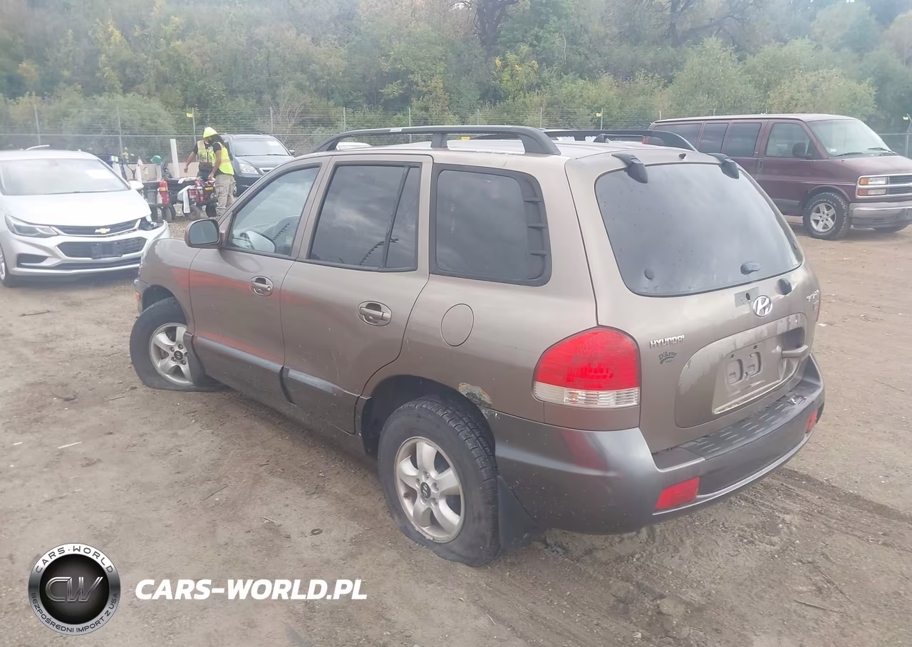 2005 Hyundai Santa Fe Gls-Lx VIN:KM8SC13E35U893953 - 3