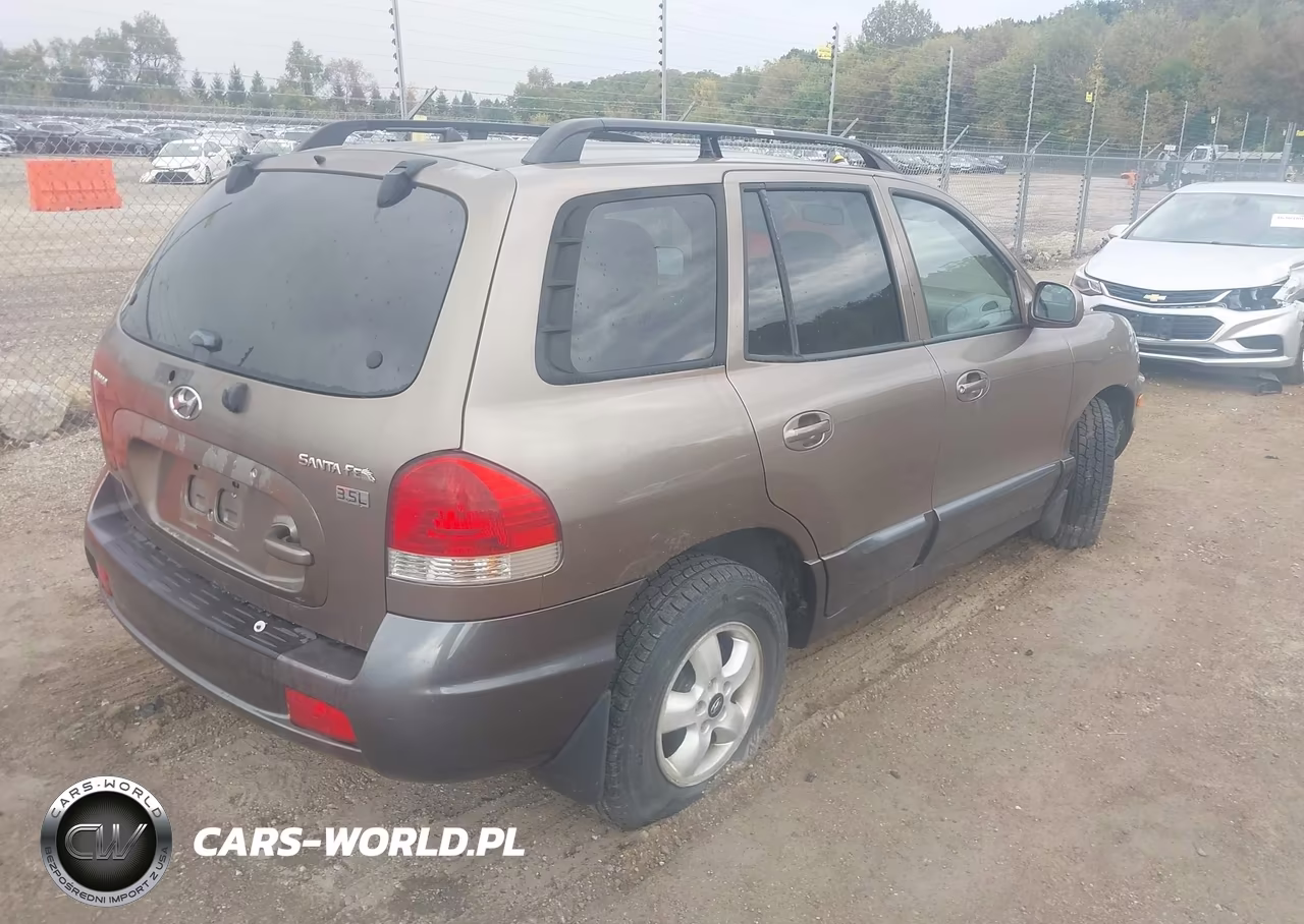 2005 Hyundai Santa Fe Gls-Lx VIN:KM8SC13E35U893953 - 4