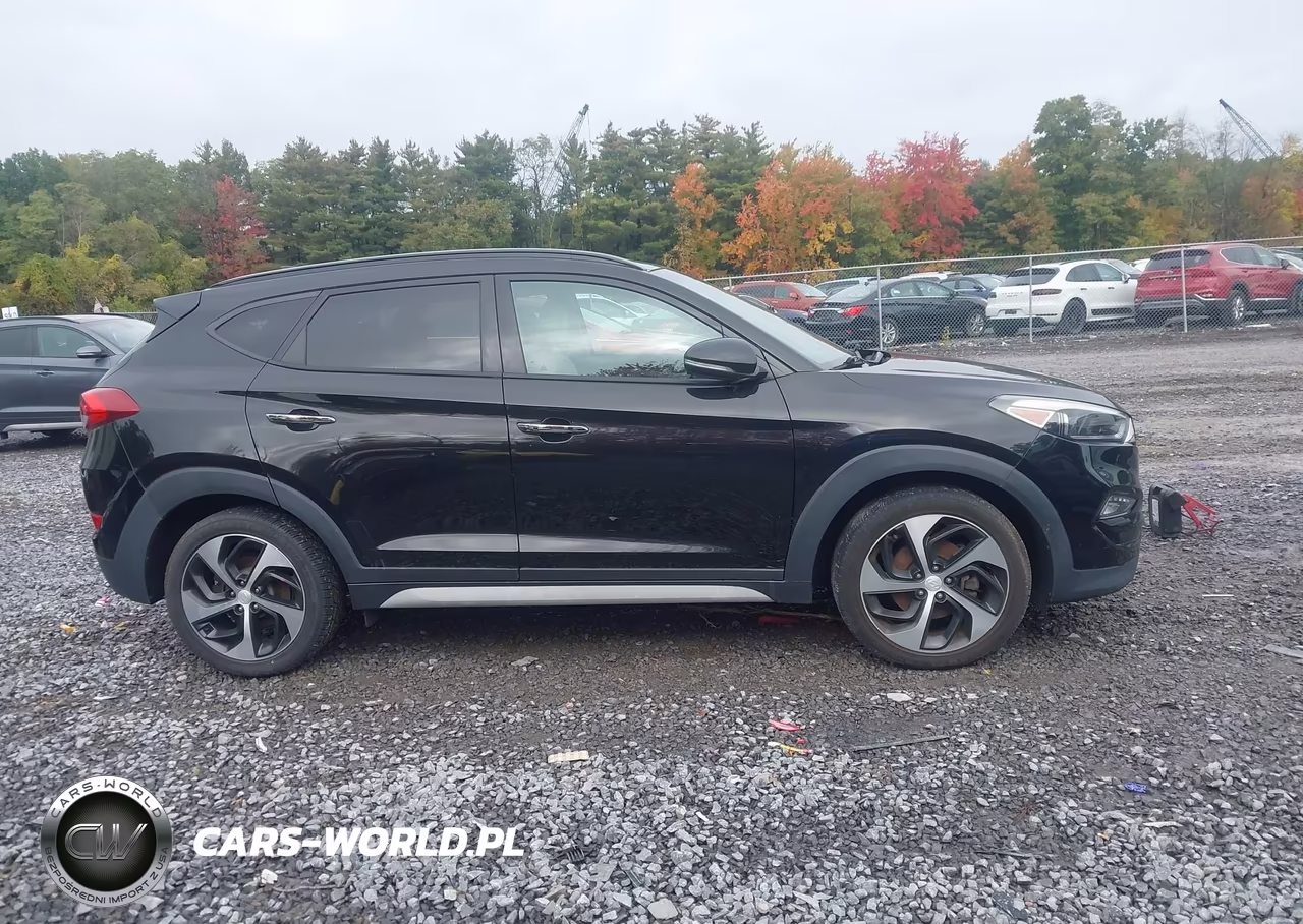 2017 Hyundai Tucson Limited VIN:KM8J3CA25HU502645 - 13