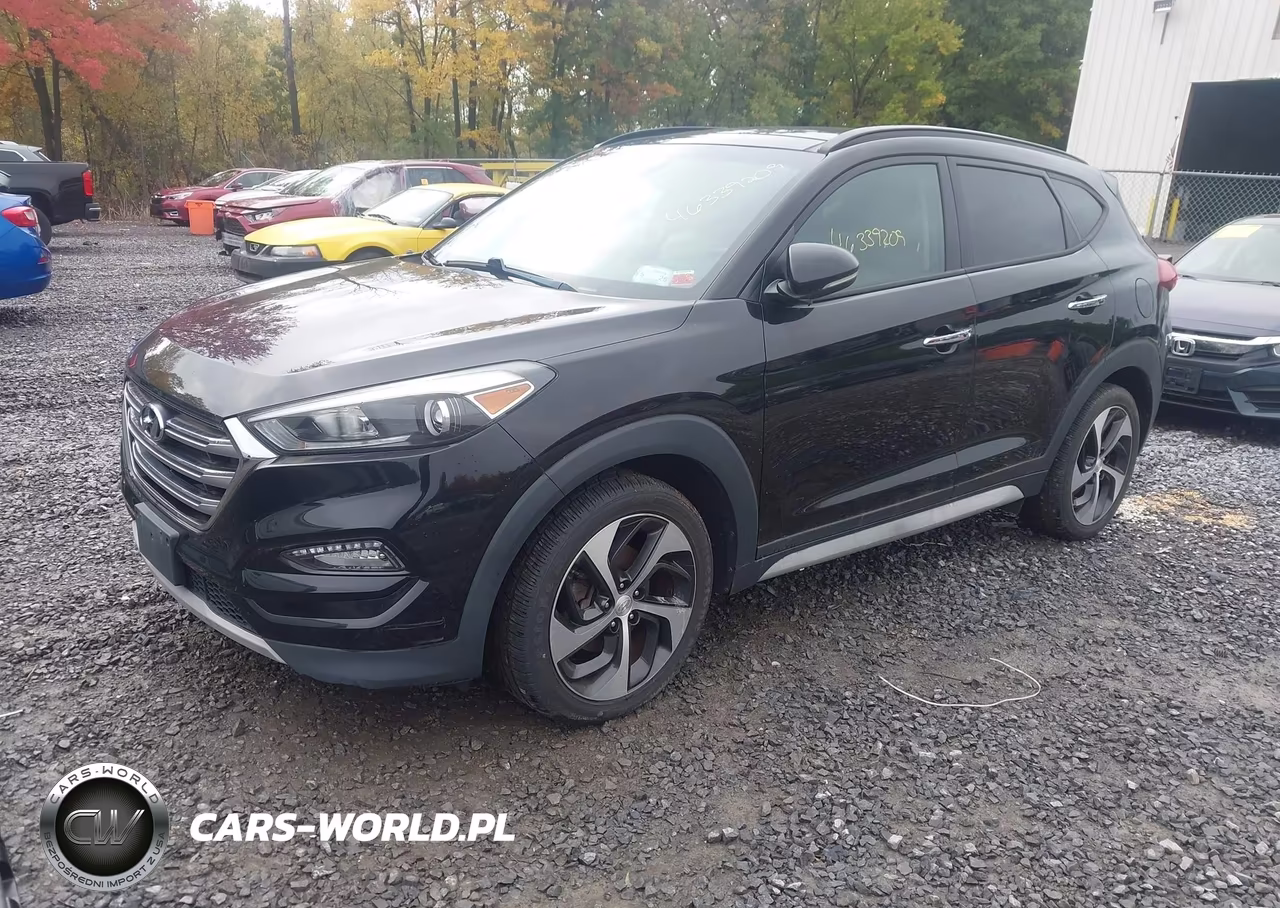2017 Hyundai Tucson Limited VIN:KM8J3CA25HU502645 - 2