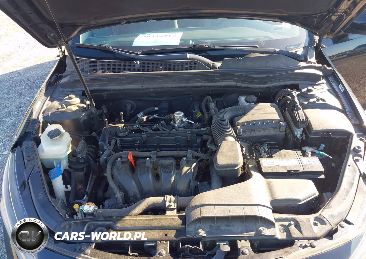 2015 Kia Optima Lx VIN:5XXGM4A78FG389662 - 10