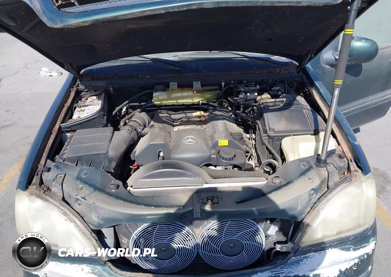 2001 Mercedes-Benz Ml 320 VIN:4JGAB54E81A239000 - 10