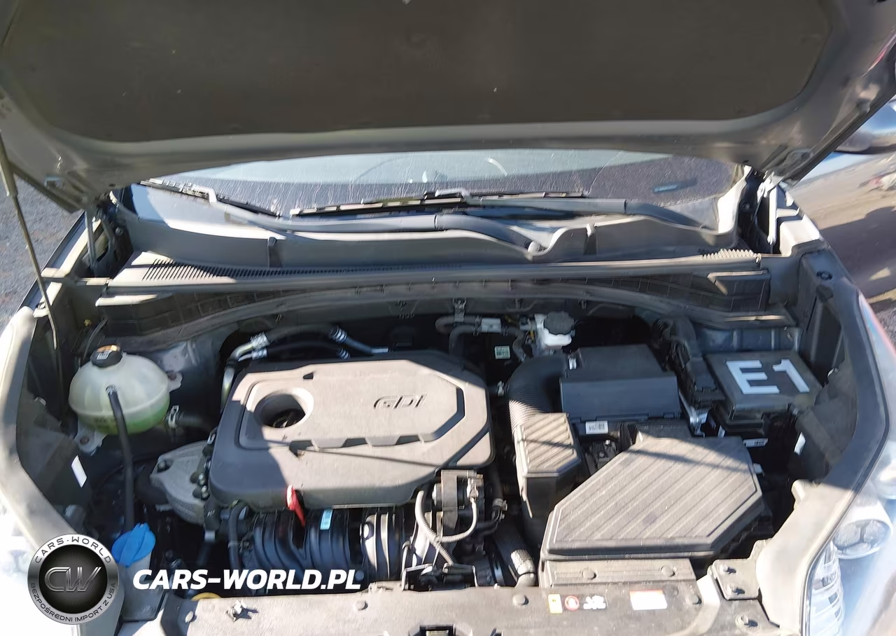 2020 Kia Sportage Lx VIN:KNDPM3AC5L7831244 - 10