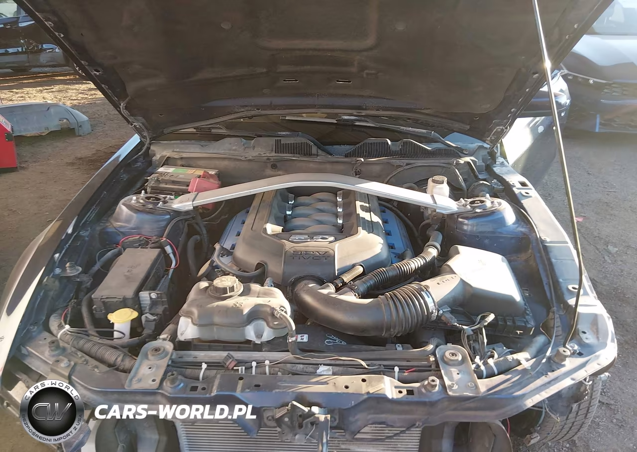 2011 Ford Mustang Gt Premium VIN:1ZVBP8CF6B5125722 - 10