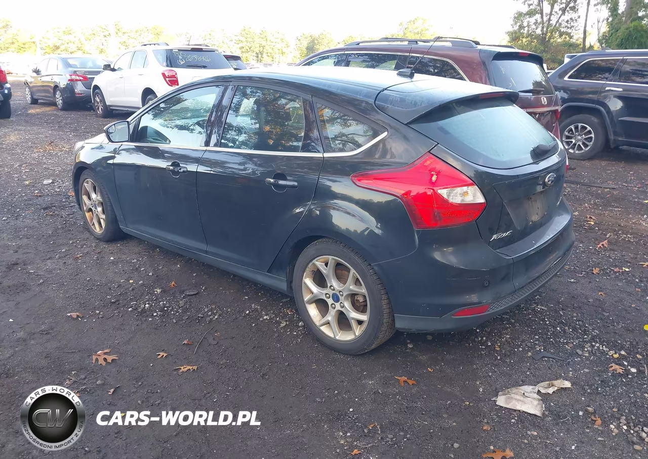 2014 Ford Focus Titanium VIN:1FADP3N23EL446132 - 3