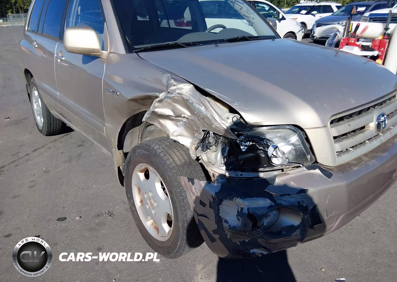 2004 Toyota Highlander Limited V6 VIN:JTEDP21AX40040698 - 6