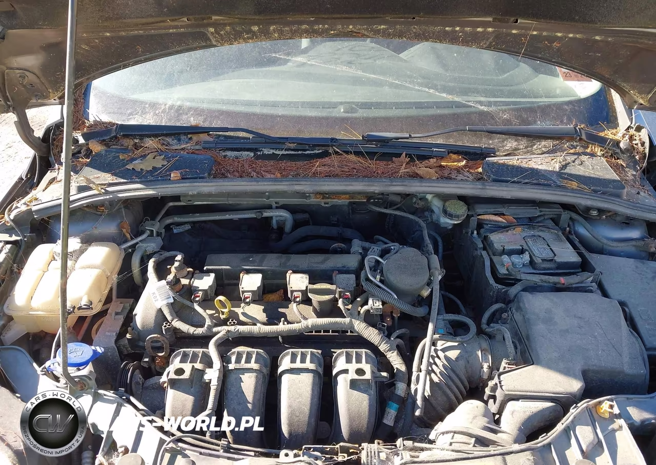 2013 Ford Focus Se VIN:1FADP3F20DL135481 - 10