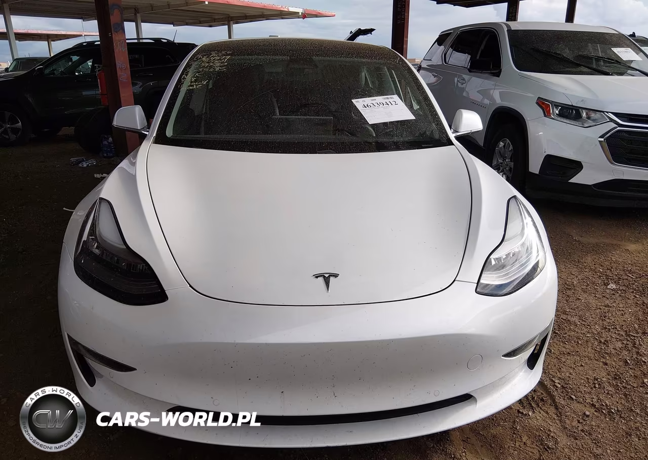 2020 Tesla Model 3 Standard Range Plus Rear-Wheel Drive-Standard Range Rear-Wheel Drive VIN:5YJ3E1EA4LF797560 - 10