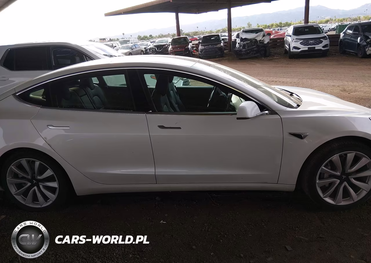 2020 Tesla Model 3 Standard Range Plus Rear-Wheel Drive-Standard Range Rear-Wheel Drive VIN:5YJ3E1EA4LF797560 - 11