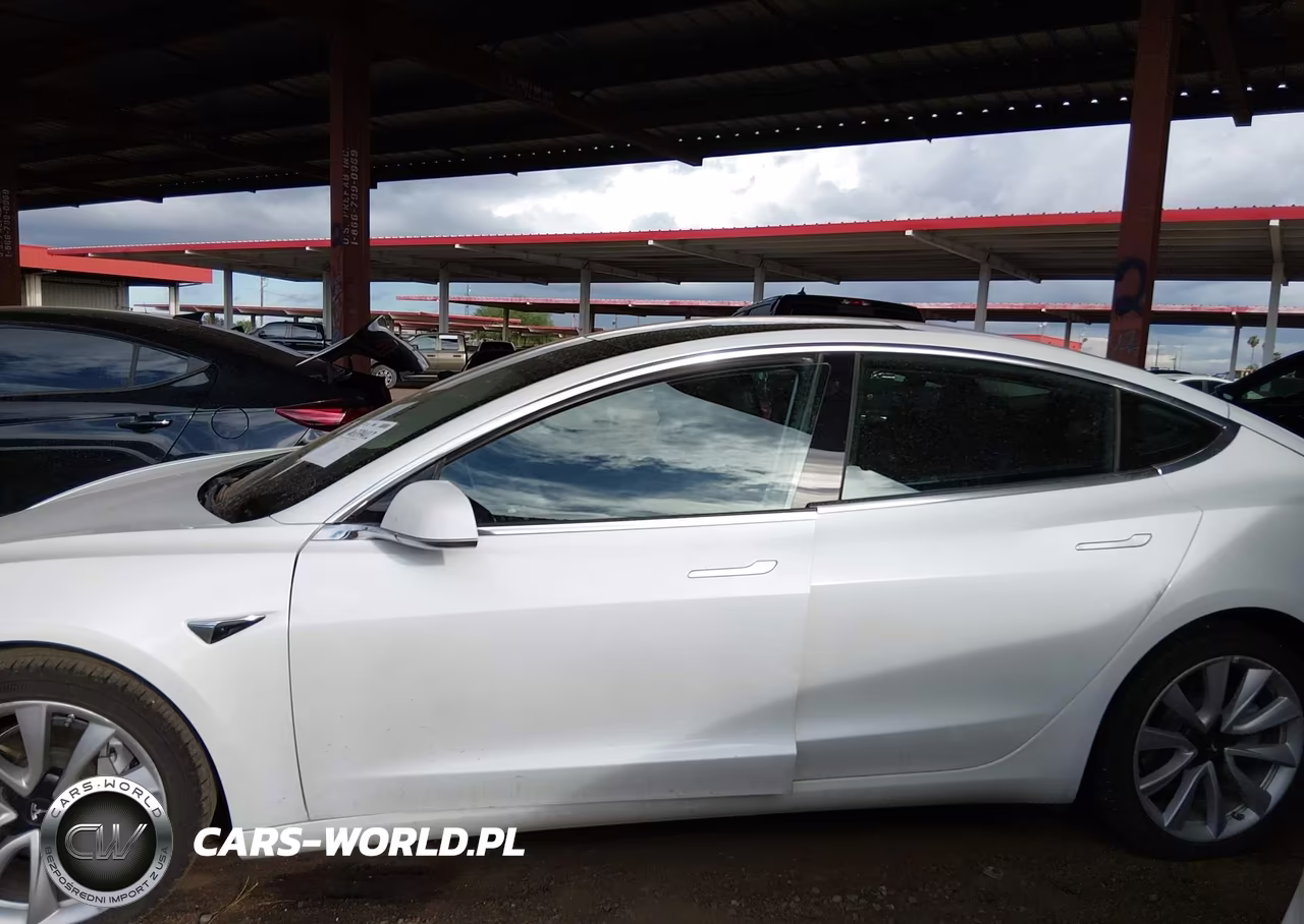 2020 Tesla Model 3 Standard Range Plus Rear-Wheel Drive-Standard Range Rear-Wheel Drive VIN:5YJ3E1EA4LF797560 - 12