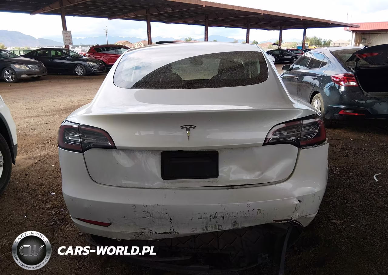 2020 Tesla Model 3 Standard Range Plus Rear-Wheel Drive-Standard Range Rear-Wheel Drive VIN:5YJ3E1EA4LF797560 - 14