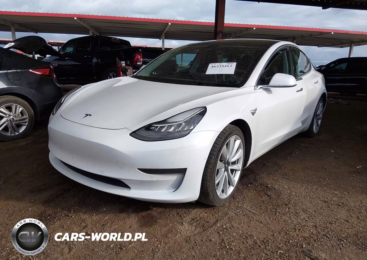 2020 Tesla Model 3 Standard Range Plus Rear-Wheel Drive-Standard Range Rear-Wheel Drive VIN:5YJ3E1EA4LF797560 - 2