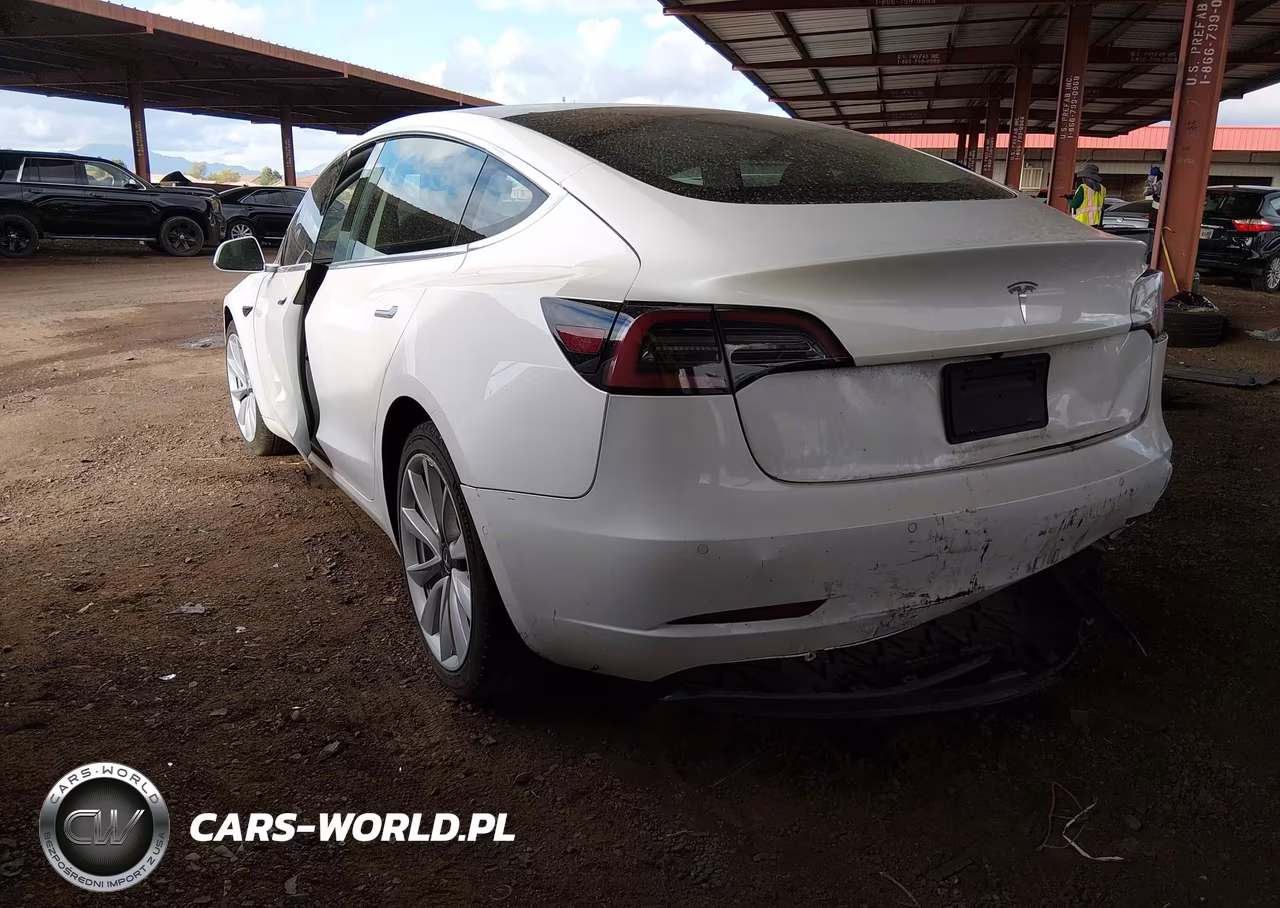 2020 Tesla Model 3 Standard Range Plus Rear-Wheel Drive-Standard Range Rear-Wheel Drive VIN:5YJ3E1EA4LF797560 - 3