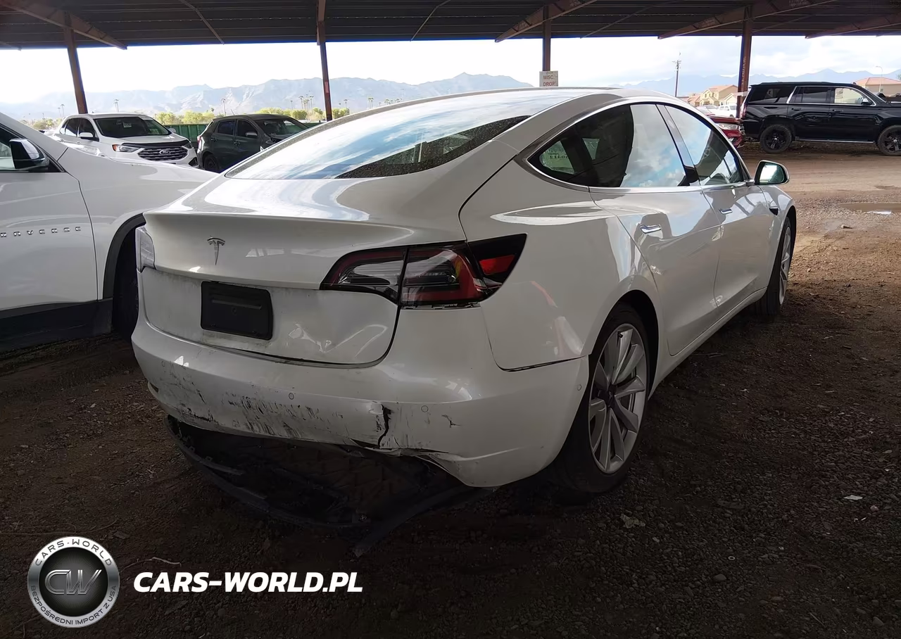 2020 Tesla Model 3 Standard Range Plus Rear-Wheel Drive-Standard Range Rear-Wheel Drive VIN:5YJ3E1EA4LF797560 - 4