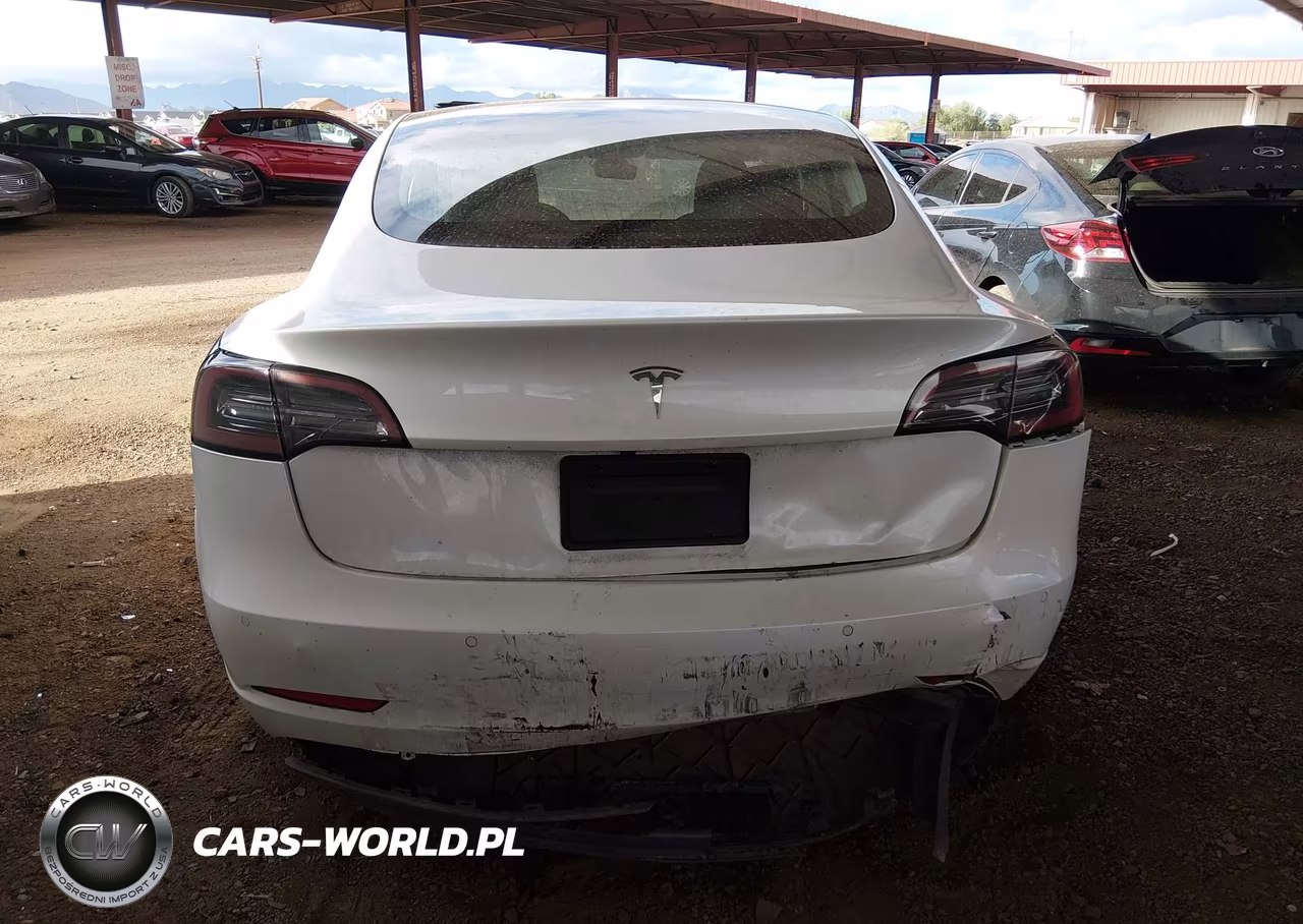 2020 Tesla Model 3 Standard Range Plus Rear-Wheel Drive-Standard Range Rear-Wheel Drive VIN:5YJ3E1EA4LF797560 - 6