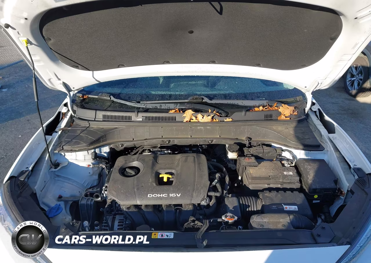 2019 Hyundai Kona Sel VIN:KM8K6CAA2KU317804 - 10