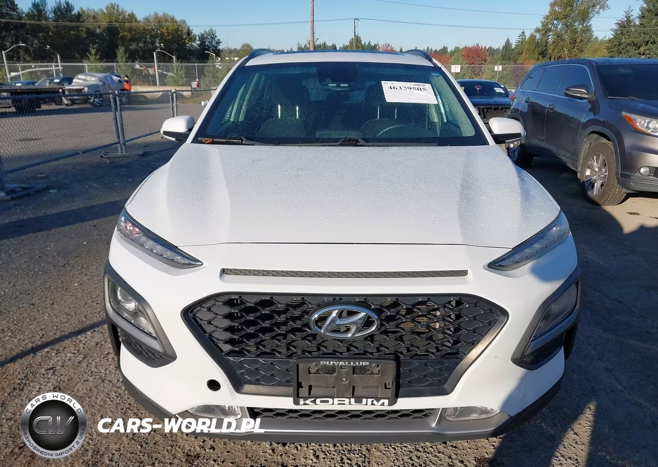 2019 Hyundai Kona Sel VIN:KM8K6CAA2KU317804 - 12