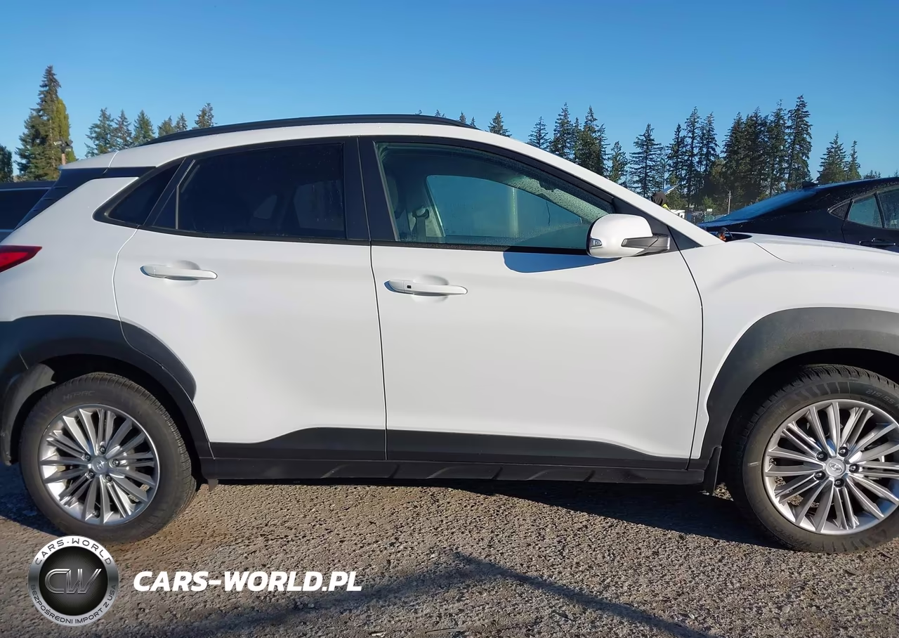 2019 Hyundai Kona Sel VIN:KM8K6CAA2KU317804 - 13