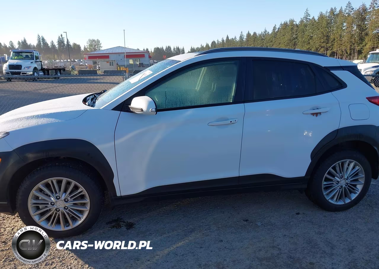 2019 Hyundai Kona Sel VIN:KM8K6CAA2KU317804 - 14