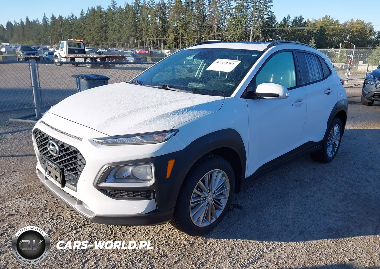 2019 Hyundai Kona Sel VIN:KM8K6CAA2KU317804 - 2