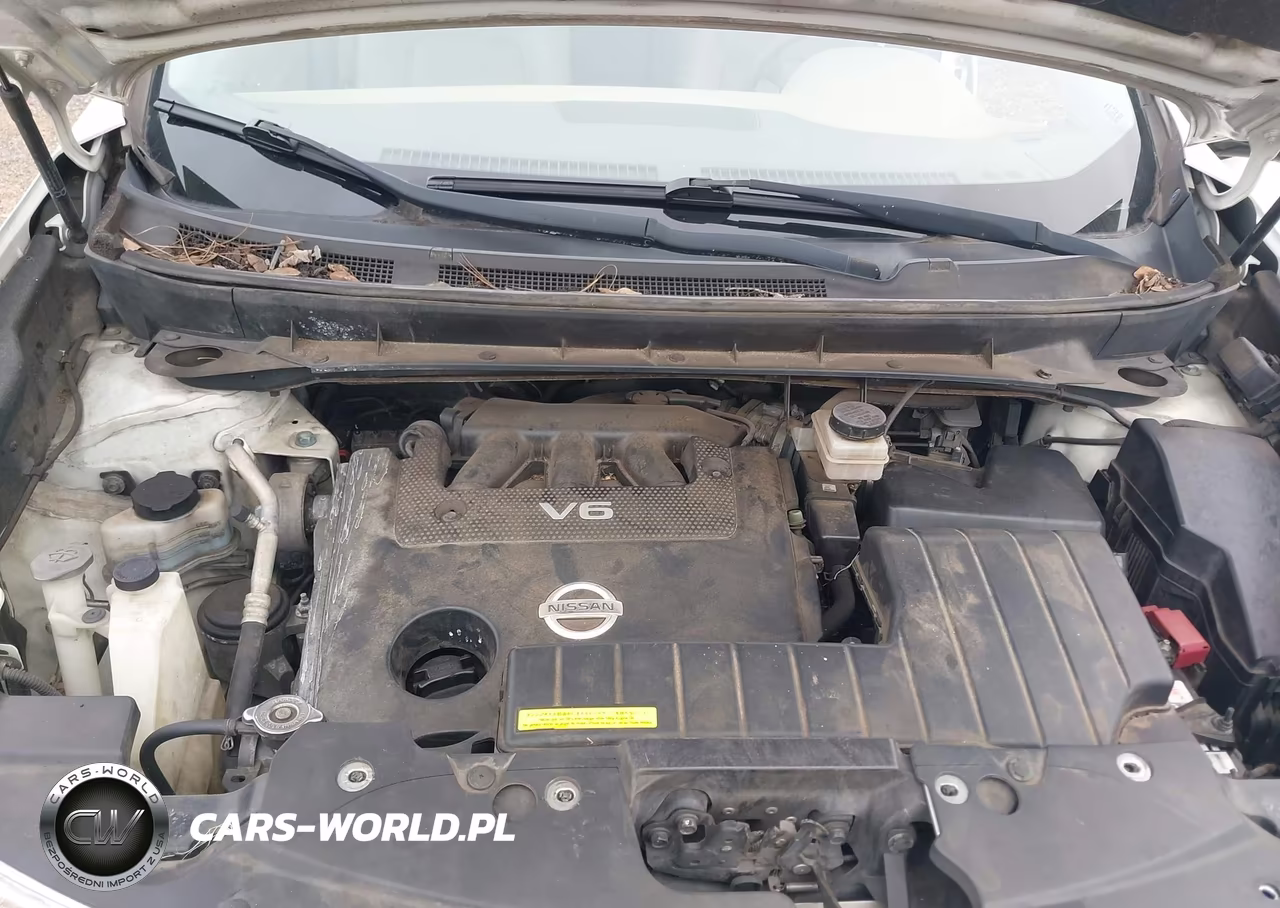 2013 Nissan Murano Sl VIN:JN8AZ1MU5DW201705 - 10