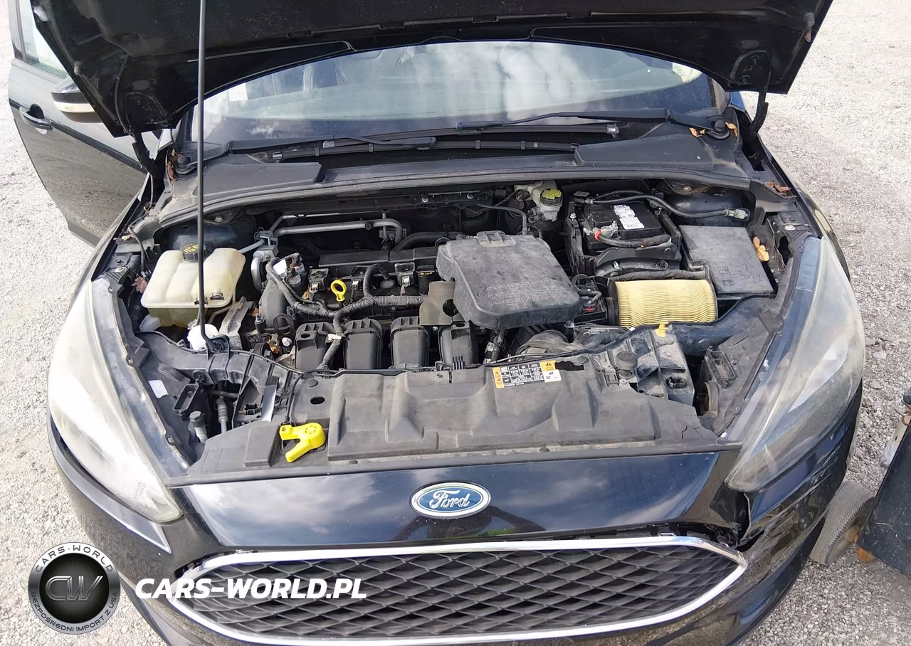2016 Ford Focus Se VIN:1FADP3F29GL311724 - 10