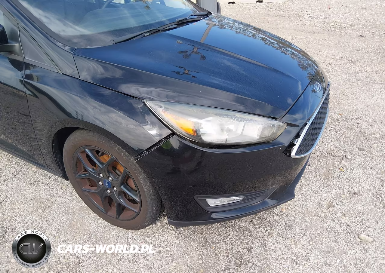 2016 Ford Focus Se VIN:1FADP3F29GL311724 - 6