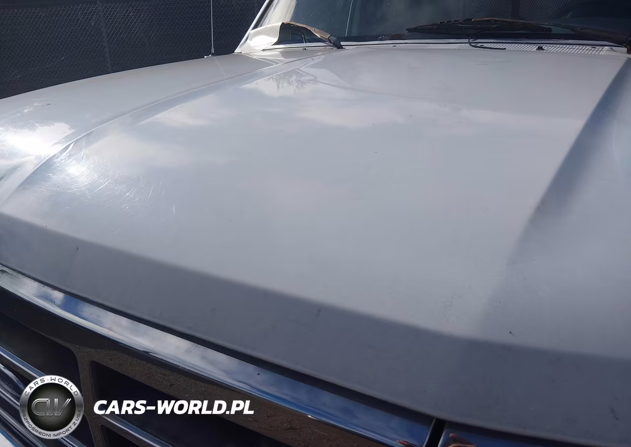1996 Ford F150 VIN:1FTEF14N2TLB47195 - 10