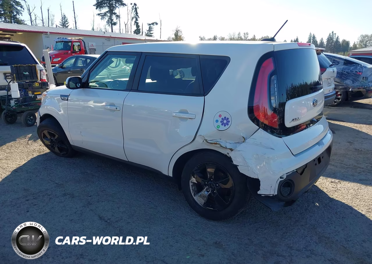 2019 Kia Soul VIN:KNDJN2A24K7676091 - 3