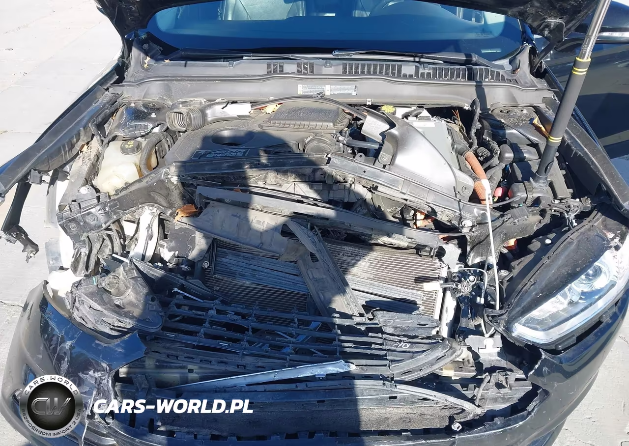 2016 Ford Fusion Energi Titanium VIN:3FA6P0SU8GR187221 - 10