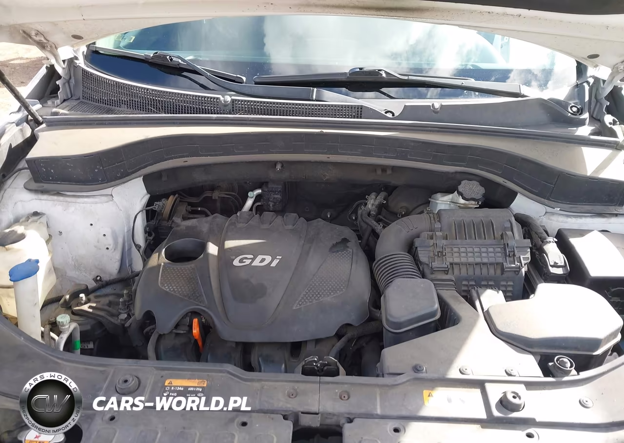 2014 Kia Sorento Lx VIN:5XYKT3A63EG426075 - 10