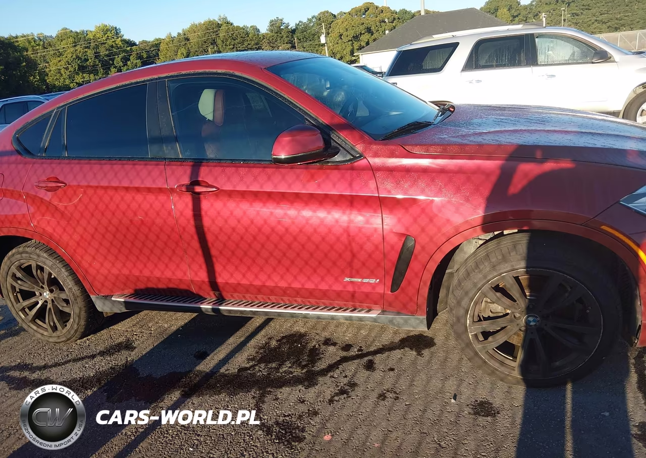 2015 BMW X6 xDrive50I VIN:5UXKU6C54F0F94206 - 13