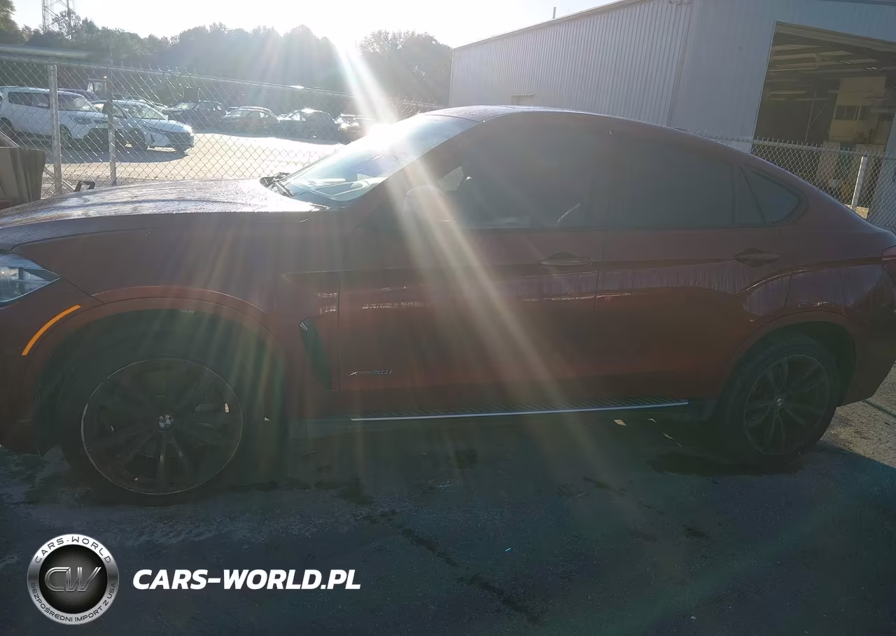 2015 BMW X6 xDrive50I VIN:5UXKU6C54F0F94206 - 14