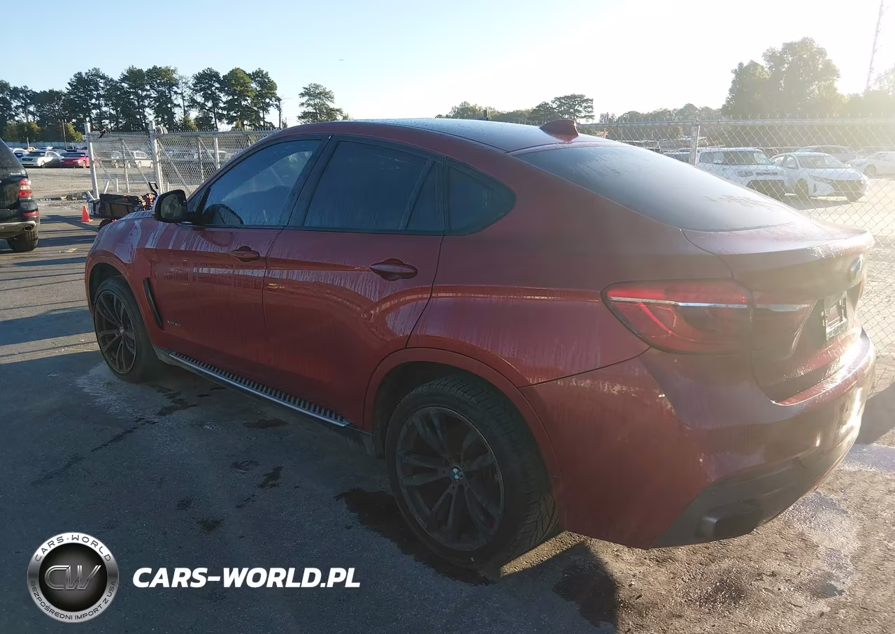 2015 BMW X6 xDrive50I VIN:5UXKU6C54F0F94206 - 3