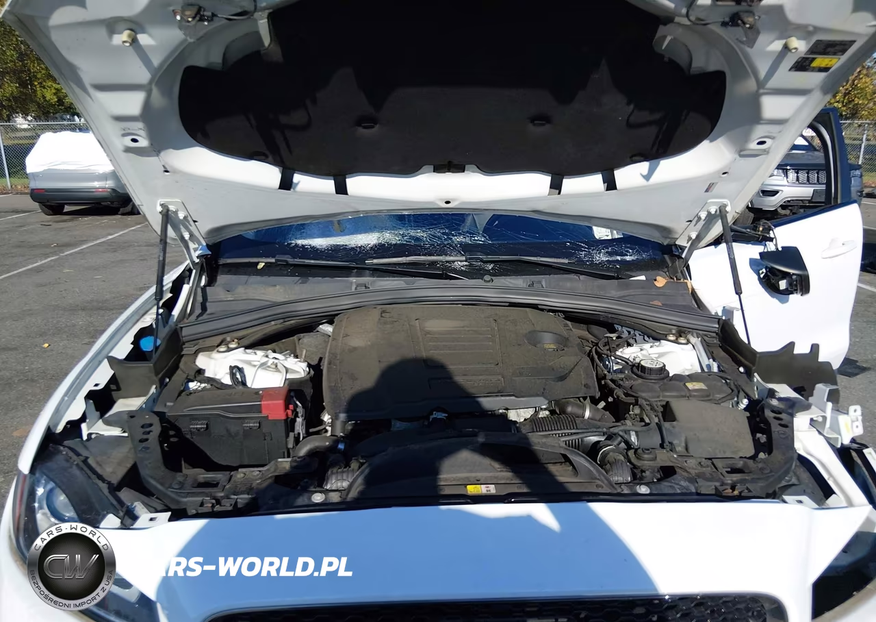2019 Jaguar F-Pace 25T Premium-30T Premium VIN:SADCJ2GX0KA360928 - 10
