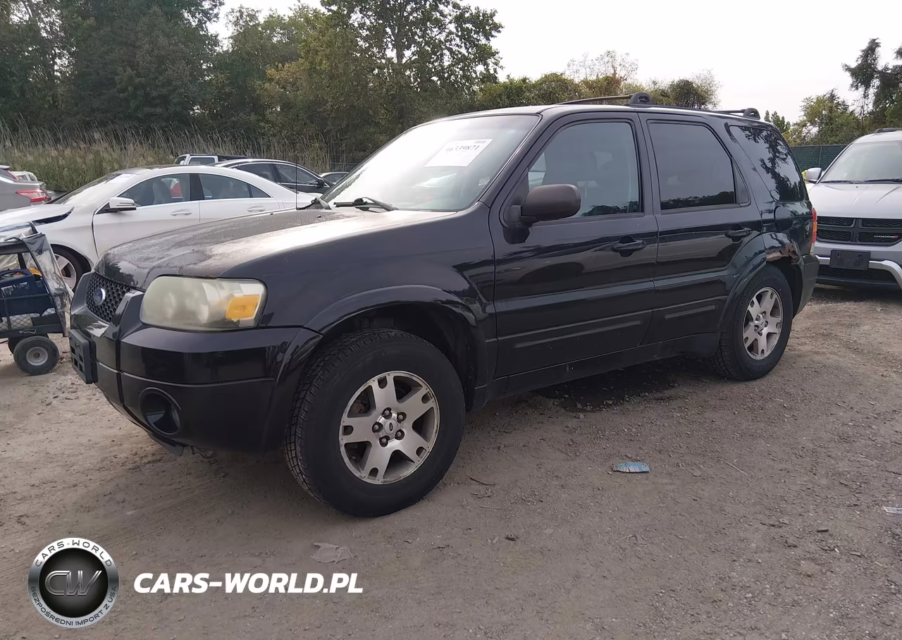 2005 Ford Escape Limited VIN:1FMCU94175KA49809 - 2