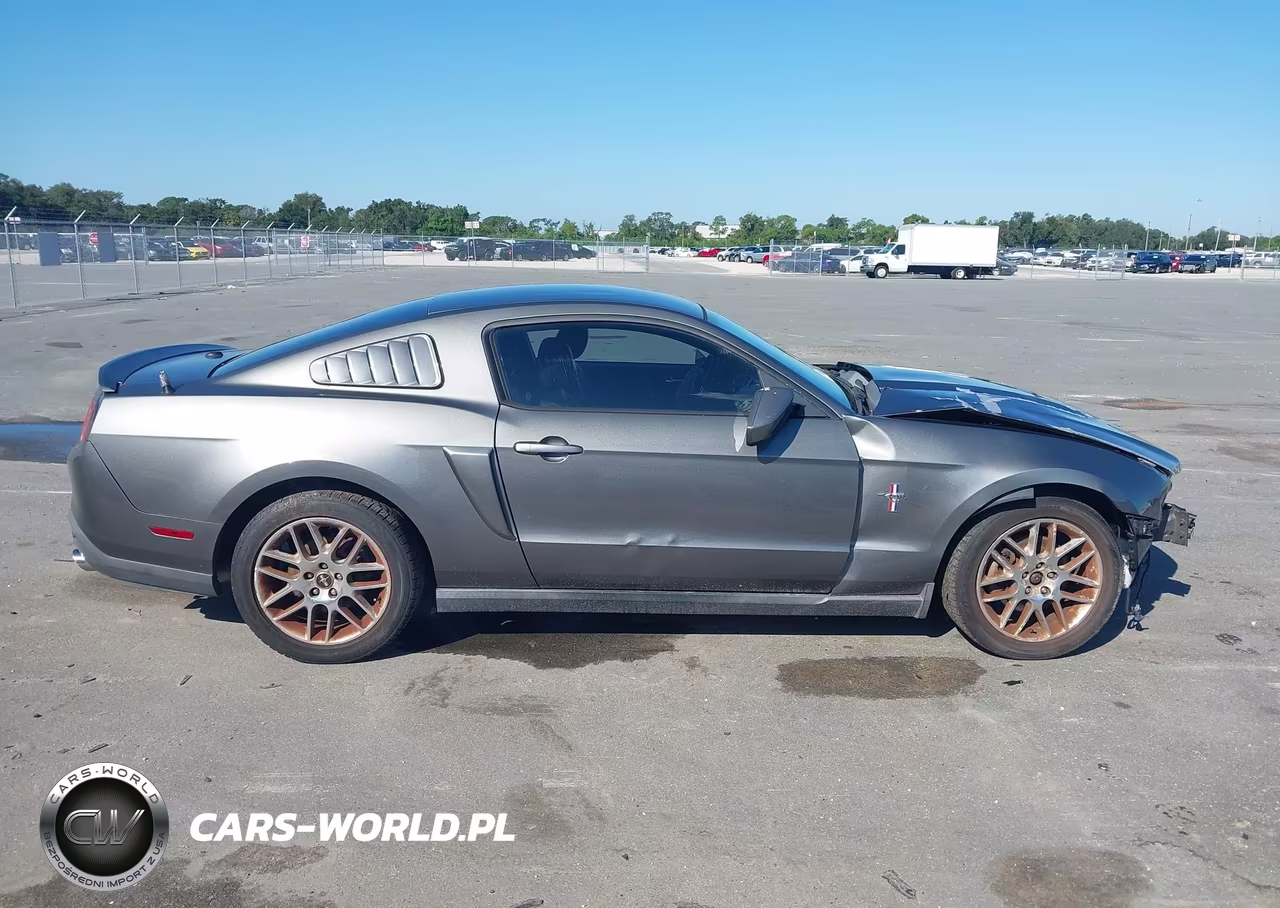 2012 Ford Mustang V6 Premium VIN:1ZVBP8AM8C5260073 - 13