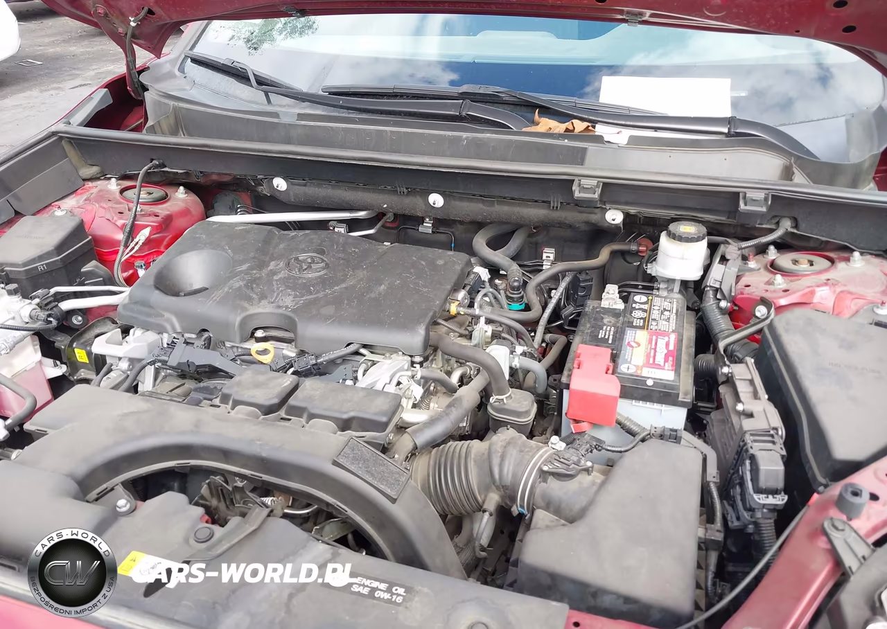 2019 Toyota Rav4 Le VIN:2T3K1RFV3KW049186 - 10
