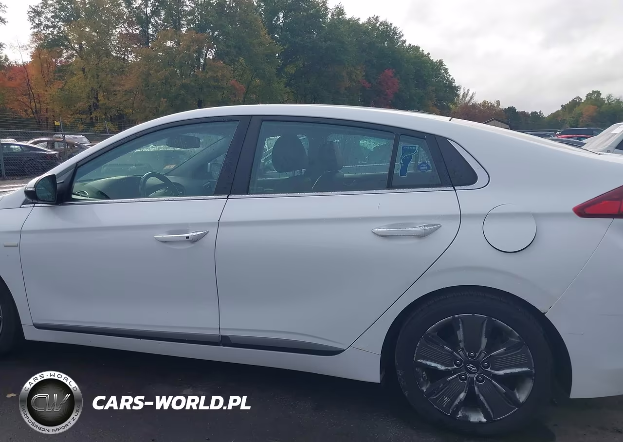 2017 Hyundai Ioniq Hybrid Limited VIN:KMHC85LC8HU053134 - 14