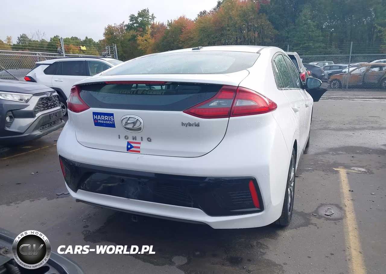 2017 Hyundai Ioniq Hybrid Limited VIN:KMHC85LC8HU053134 - 16