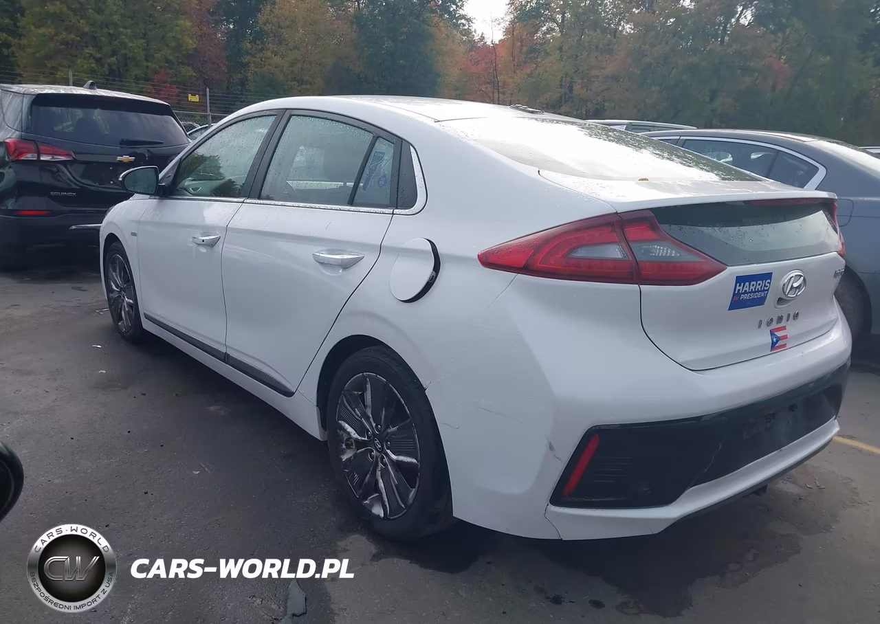 2017 Hyundai Ioniq Hybrid Limited VIN:KMHC85LC8HU053134 - 3