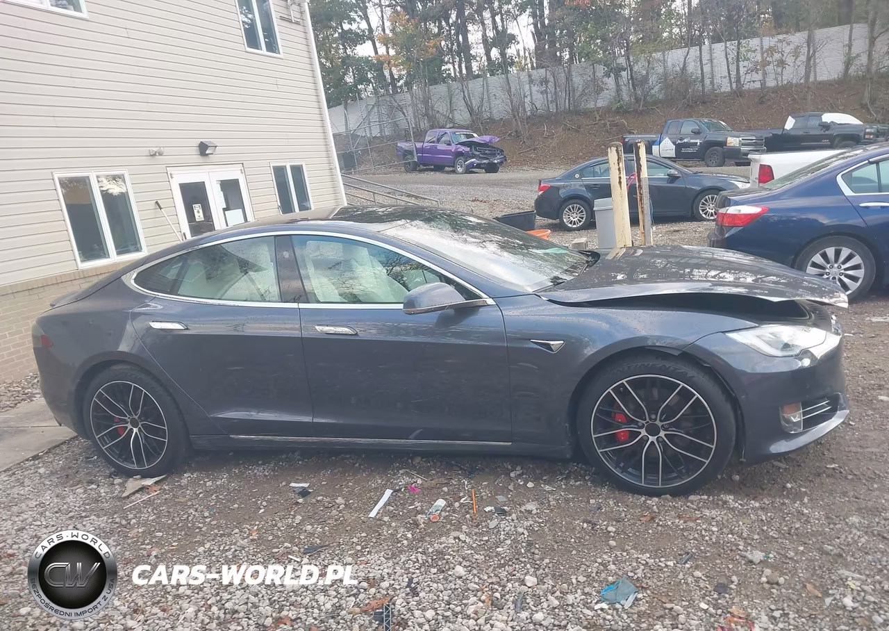 2018 Tesla Model S 100D-75D-P100D VIN:5YJSA1E46JF295468 - 13