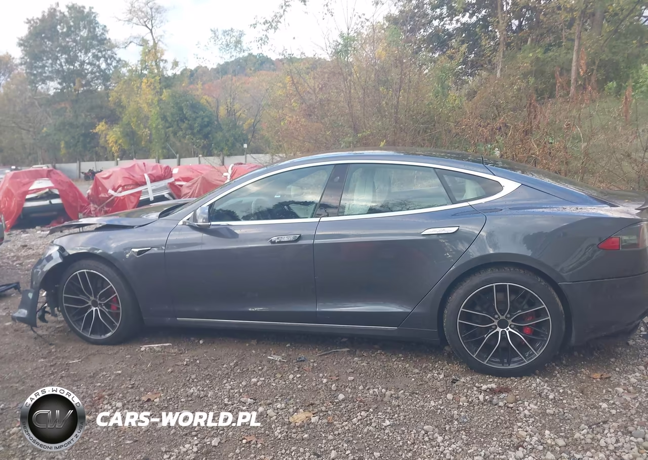 2018 Tesla Model S 100D-75D-P100D VIN:5YJSA1E46JF295468 - 14